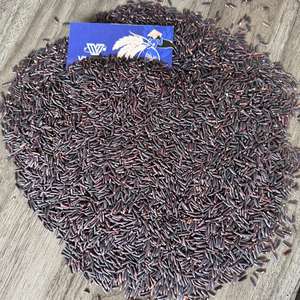 Arroz negro vietnamita de alta calidad orgánico a granel al por mayor Riz Noir Vietnam Bio para Salud, Cocina, Exportacion / ANNA DO - Product Image 5