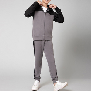 Conjuntos de 2 piezas de moda Chaqueta y pantalones con capucha y cremallera de manga larga Ropa para niños Chándales Ropa deportiva - Product Image 1