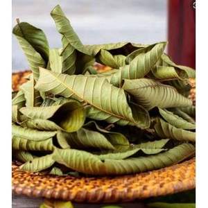 Las hojas de guayaba secas 100% naturales de alta calidad premium hechas en Vietnam al mejor precio - Product Image 4