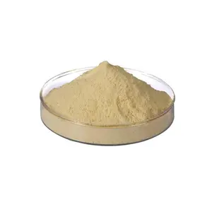 Phosphatidylserine Powder with 100% Naturally Made Nutraceuticals Phosphatidylserine Powder For Sale At Low Prices