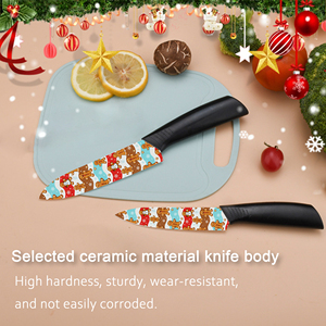 Couteau de chef de qualité supérieure, revêtement céramique, manche en plastique, compatible lave-vaisselle, pour usage domestique, approvisionnement en vrac, livraison rapide, livraison gratuite - Product Image 4