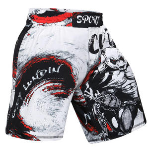 กางเกงออกกำลังกายยืดหยุ่นสำหรับผู้ชาย MMA ชุดฝึกซ้อมต่อสู้ กีฬา แอธเลติก วิ่งออกกำลังกาย คิกบ็อกซิ่ง BJJ UFC - Product Image 2
