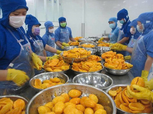 Trozos de mango congelados de primera calidad hechos de fruta fresca madura para suministro de exportación - Product Image 3