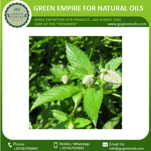 น้ำมันหอมระเหยเปปเปอร์มินท์ออร์แกนิกจากธรรมชาติน้ำมันหอมระเหยบำรุงผิวจำนวนมาก - Product Image 4