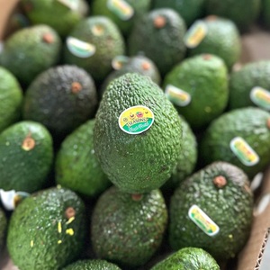 Aguacate Fresco Perfecto para Untar, en Venta - Product Image 6