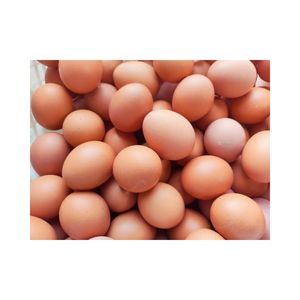 Premezcla de Alimento para Pollos al 2%, Suplementos Alimenticios para Pollos de Engorde, Iniciación, Crecimiento y Finalización; para Alimentación Animal - Product Image 3