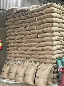 Green <b>Robusta</b> <b>Coffee</b> <b>Beans</b> Bulk Dried for Drinking - Product Image 6