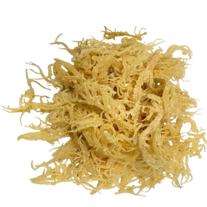 SUMINISTRO DE GRAN CANTIDAD DE ALGODÓN EUCHEUMA SECO/MUSGO DEL MAR PÚRPURA/MUSGO IRLANDÉS DE ALTA CALIDAD (Sra. Lima) - Product Image 1