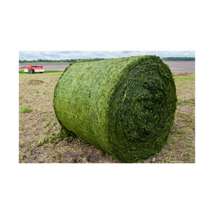 Factory price Rhodes <b>grass</b> hay high quality <b>dried</b> <b>grass</b> bales prepared for large volume shipment - Product Image 5