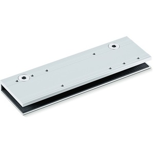 GEZE TS 3000 V ตัวล็อคและตัวปิดประตูกระจกสีเงิน - Product Image 1