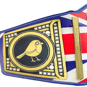 WWE Championship <b>Belt</b> Toy Gold <b>Belt</b> Wholesale Customizable Luxury Metal Medal Material Adjustable Wrestling <b>Boxing</b> <b>Belt</b> Ronpex - Product Image 6