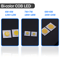 XINGLIGHT 20W LED COB blanc 19x19mm carré, CRI 80 élevé, puce COB puissante pour luminaires commerciaux sur rail