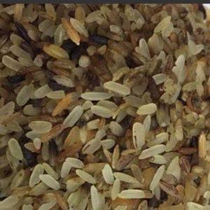 ข้าวที่ไม่ผ่านการคัดแยกสำหรับอาหารสัตว์ - Product Image 2