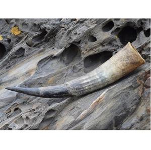 Beber cuerno vikingo ecológico hecho a mano diseño animal de alta calidad - Product Image 4