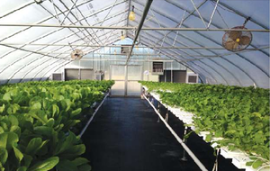 Procool siêu airbubble cách nhiệt cuộn 2 lớp lá nhôm gia cố sợi 1 tấm bong bóng cho mái nhà và tường bảo vệ nhiệt - Product Image 3