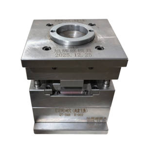 Fabrication de moules pour composants d'aides auditives, production de pièces d'aides auditives par moulage par injection plastique - Product Image 4