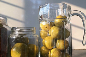 Việt Nam Muối Chanh ngâm citrus trái cây/Muối chanh cho giải khát uống - Product Image 3