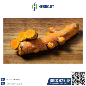 Herbojit International Curcuma Longa Superior Quality Turmeric Fingers 100% Pure Ayurvedic Indian Spice 24 Month <b>Shelf</b> Life Good - Product Image 2