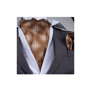 Ensemble de foulards et de mouchoirs en tissu à motifs abstraits à pois marron pour hommes, taille unique, fabriqué en Turquie - Product Image 1