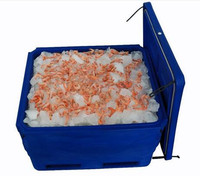 Boîte à poisson isolée en plastique rotomoulé personnalisée de 600 L, glacière, bacs à poisson