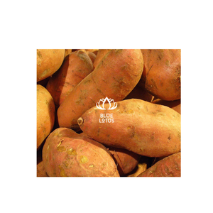 Patatas dulces púrpuras de Vietnam Estilo fresco Mejor precio para la exportación - Product Image 1