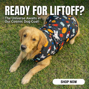 Abrigo para Perro Plegable, Ligero y Cómodo, con Diseño de Astronauta, Tejido Resistente para el Frío Invernal, Uso Diario al Aire Libre - Product Image 4