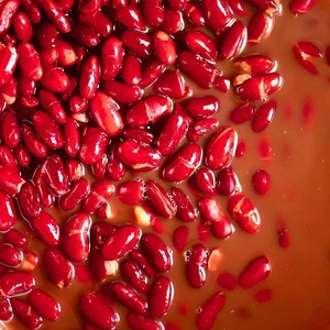 Precio más barato, frijoles rojos grandes, venta al por mayor, frijoles rojos británicos enlatados de forma larga a la venta - Product Image 6
