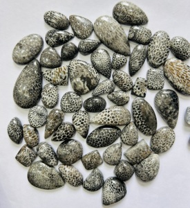 Aaa Grade Natuurlijke Zwarte Fossiele Koraal Edelsteen Cabochon Gemengde Diverse Partij Voor Multi Sieraden Maken Steen Bruine Aragoniet - Product Image 2