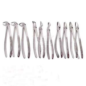 Pince d'extraction dentaire manuelle professionnelle 10 pièces outil de dentiste en acier inoxydable poignée de coussin de luxe pour adulte de chirurgie buccale - Product Image 2