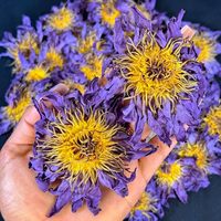 MEILLEUR PRIX Fleurs de Lotus Bleu Fraîches 2025 – Tisane Premium Parfum Riche en Sachet Vrac pour un Mode de Vie Sain
