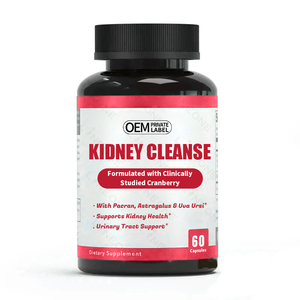 Mullein Leaf Herb Supplément respiratoire de désintoxication pulmonaire Mollein Leaf Capsules Lung Cleanse Complex avec NAC Quercétine Cordyceps - Product Image 1