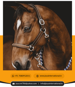 Utdoor-Ports, accesorio multifuncional, ligero e inteligente - Product Image 2