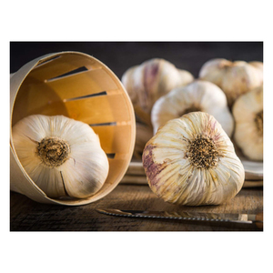 Premium Quality Wholesale <b>Fresh</b> Peeled <b>Garlic</b> for Sale in Cheap Price - Product Image 4