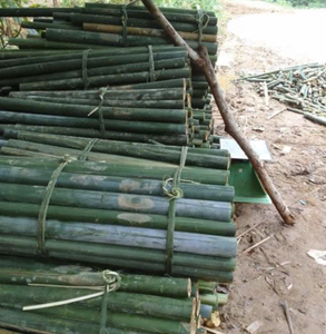 Varillas de Bambú Flexibles Hechas en Vietnam para Marcos de Embalaje, Arreglos de Exhibición y Soluciones Versátiles de Material para Manualidades - Product Image 6