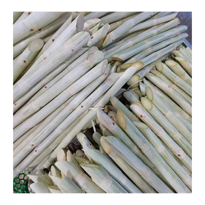 Palitos de caña de azúcar congelados pelados de Vietnam caña de azúcar congelada para exportar a la industria de servicios de alimentos y bebidas - Product Image 2