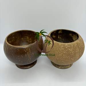 Beber taza de coco Mini taza de cáscara de coco/tazas de té de cáscara de coco artesanal/taza de helado - Product Image 2