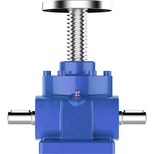 Manual and Electric Worm Gear Screw Jack Worm Screw Lift Reducer Types of Lift Machine