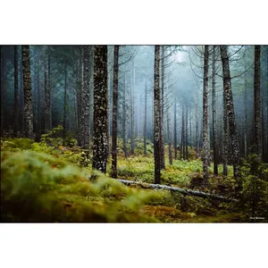 Impression sur toile Fida Misty Forest Mossy Ground - Product Image 6