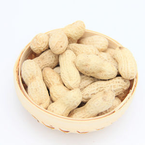 High Quality Organic Blanched Raw <strong>Peanuts</strong> Fresh France 24 Months Shelf Life <strong>Low</strong> <strong>Price</strong> Bulk Wholesale Purchase Available <strong>in</strong> <strong>Shell</strong> - Product Image 5
