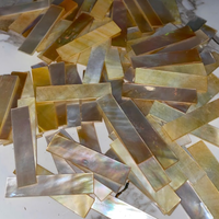 Fournisseur de coquille de nacre polie | Coquille de haute qualité pour la décoration, prix d'usine
