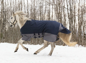1200D <b>Waterproof</b> Breathable Horse Rug Combo for Winter Use with White Horse Racing <b>Blanket</b> for Superior Protection - Product Image 5