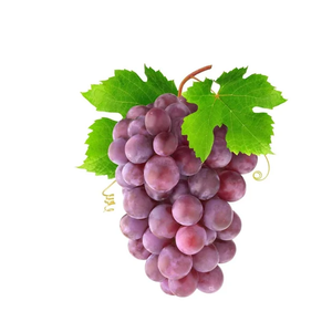 Uvas Rojas dulces y frescas a la venta a precio competitivo, suministro al por mayor en gran cantidad, directo de granja - Product Image 5