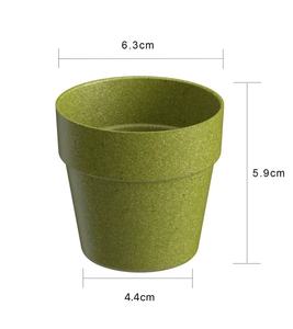 Pioneera Mini Bunte Blumentöpfe Umwelt freundliche biologisch abbaubare Blumentöpfe für den Innen-und Außenbereich, kleine Pflanz gefäße für Wohnkultur - Product Image 4