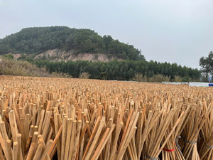 Pieux en bois carrés, pieux en bois ronds en grande quantité - Product Image 2