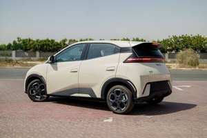 Véhicule électrique Seagull 2025, autonomie NEDC de 501-600 km, moteur de 300 kW, couple de 100-200 Nm, batterie de 100 kWh, autonomie WLTC de 9092 km - Product Image 2