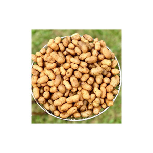 Factory Supply Bulk Wholesale Price High Quality Dried Raw Canada Red Skin <b>Peanuts</b> - Product Image 5
