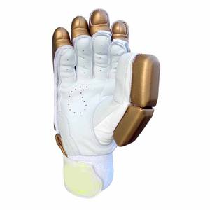 Ropa de entrenamiento personalizada de calidad superior Guantes de cricket cómodos Guantes de cricket hechos a medida profesionales - Product Image 4