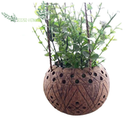 Pot Tanaman dari Kulit Kelapa Eco2go Vietnam dengan Merek Kustom - Pot Alami Tahan Busuk dengan Drainase untuk Anggrek & Pembibitan Dalam Ruangan