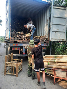 Poteaux en bambou doré traité du Vietnam, lot de piquets de 1 à 10 m de long, solides et épais pour l'agriculture, la construction et la décoration intérieure - SAFIMEX - Product Image 6