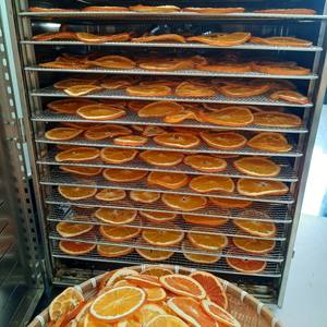 Les tranches d'orange séchées de qualité supérieure boostent vos ventes instantanément au meilleur prix - Product Image 1